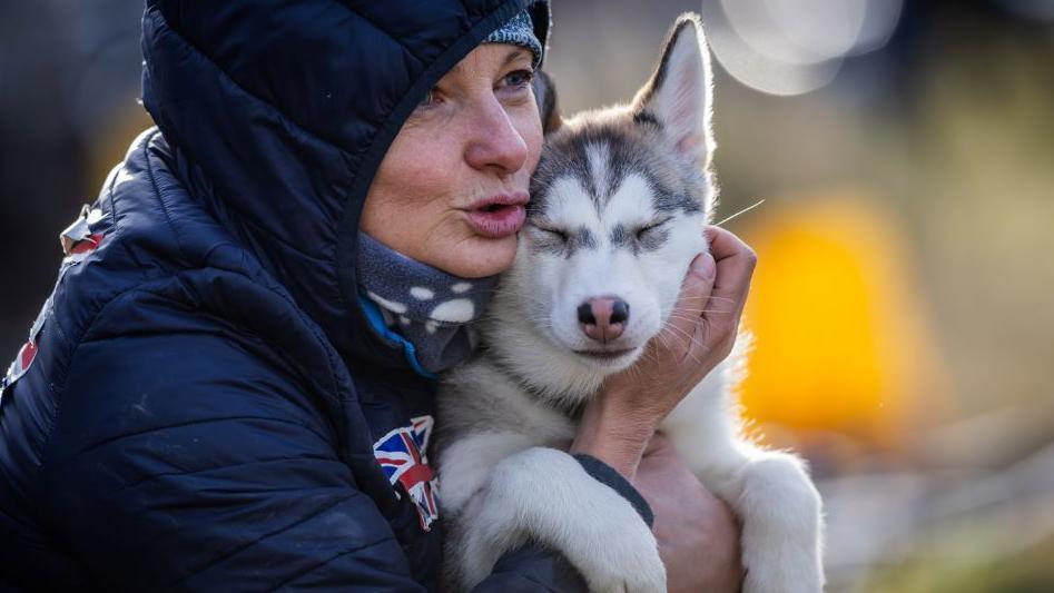 Aviemore Sled Dog Rally