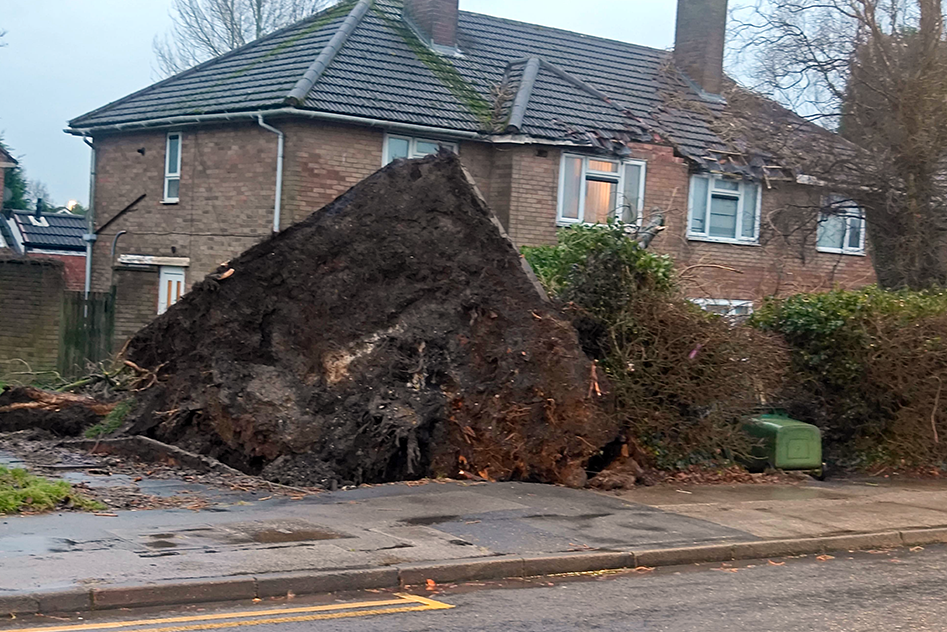 A tree is brought down in storms in Essington, Staffordshire, landing on a house and damaging roof tiles and front of property. The roots have upended a huge section of ground as the tree was toppled.