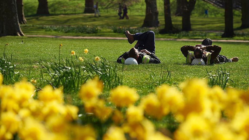 men using their hard hats as pillows lying down on grass in a park enjoying the warm and sunny weather surrounded by daffodils.