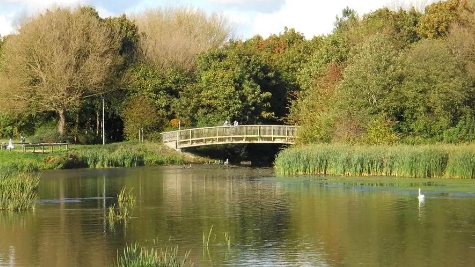 A nature reserve with water underneath a wooden bridge- surrounded by trees

