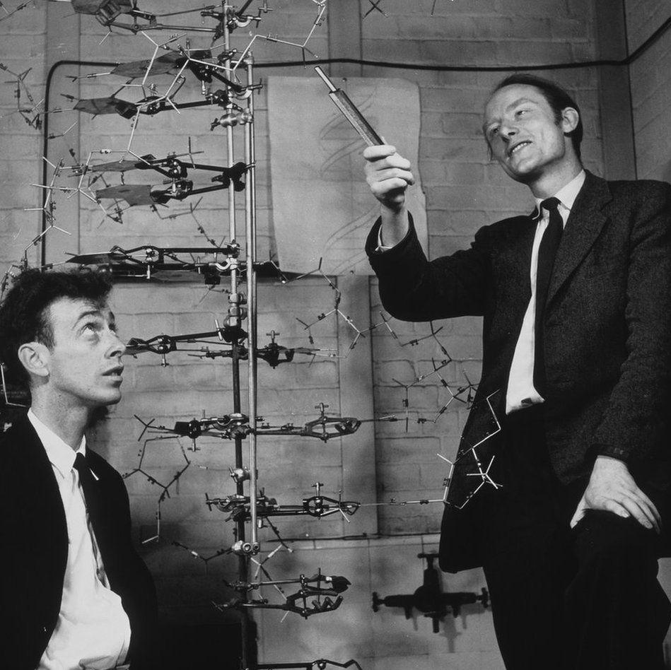 James Watson and Francis Crick look at a scientific model