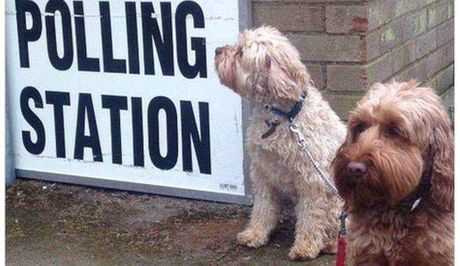 Finney and Molly outside the polling station