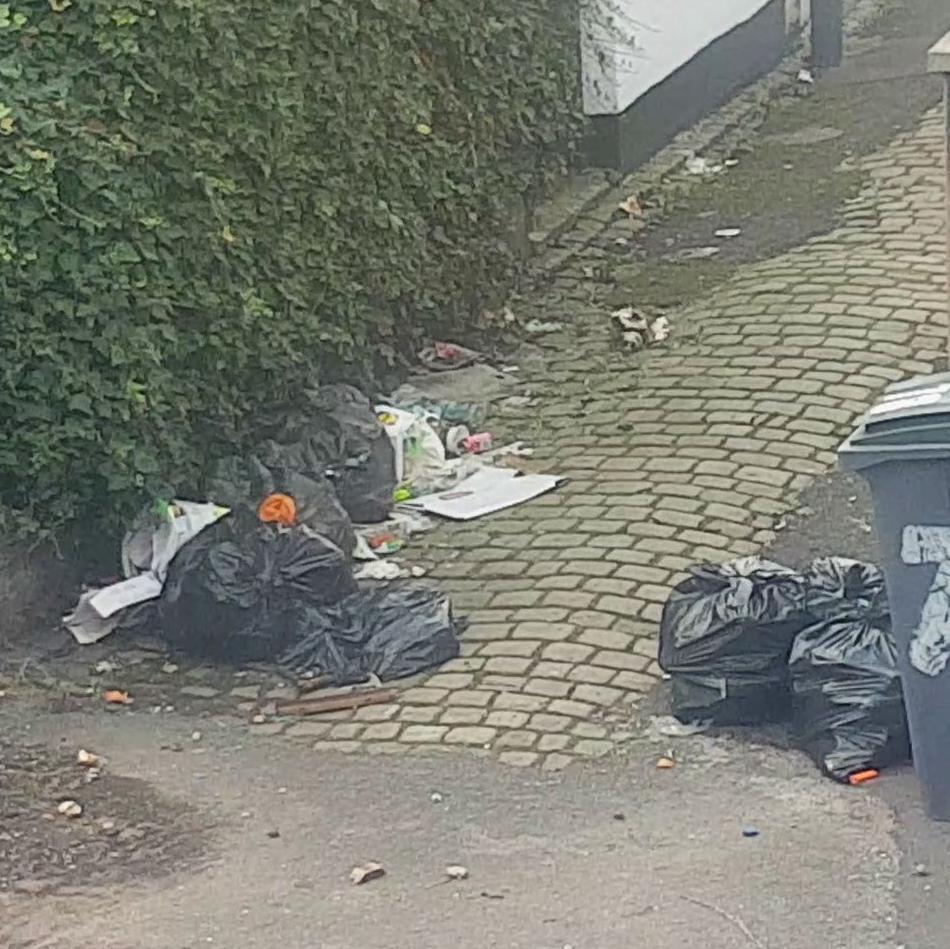 Loose rubbish on the couple's street in Stoke-on-Trent. Bags of rubbish lie next to a hedge on an alleyway