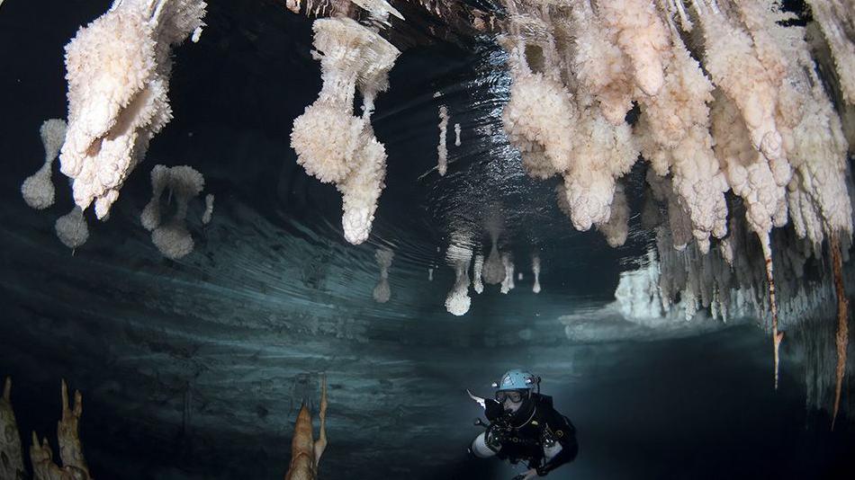 Diver studying cave overgrowths 