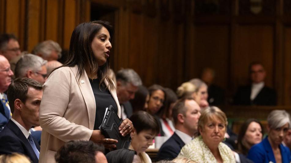 A woman with long brown hair wearing a pink blazer and black top stands in the benches of parliament and addresses the house.