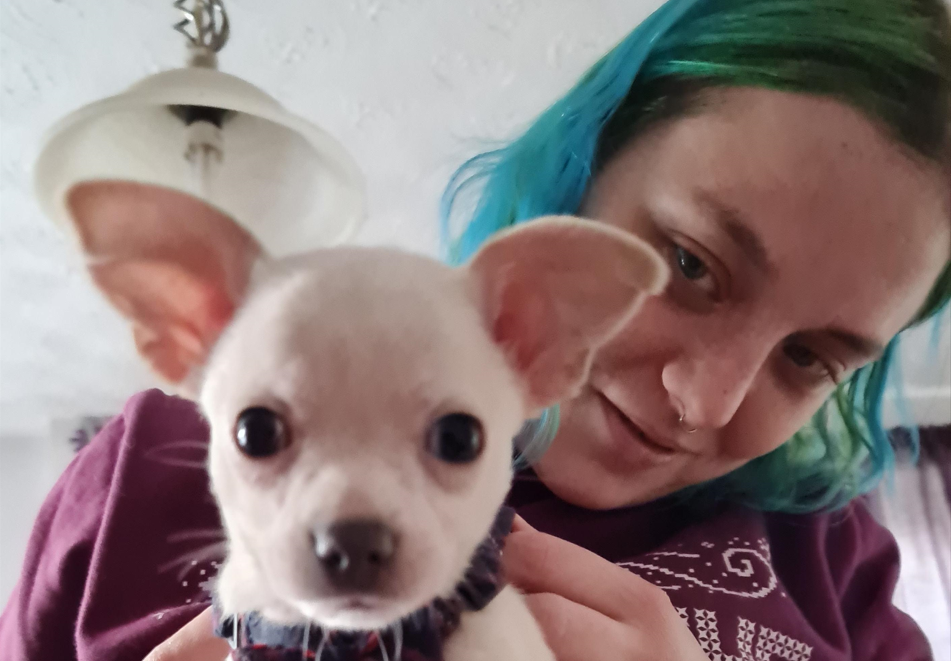 Rebekah Morris in burgundy top with chihuahua. They are both looking directly at the camera.