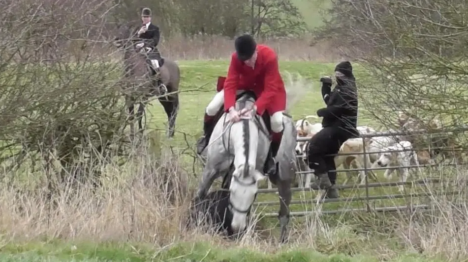 A person wearing all black sits on a fence as a horse and its rider jump a gate in a field. Another person is on the floor under the horse as hounds and another horse rider stand in the background