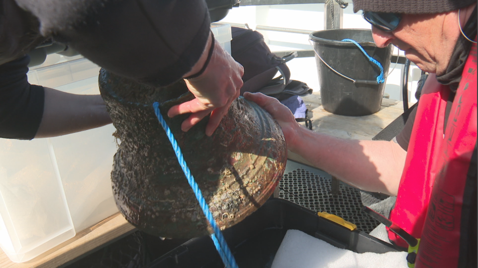 Hands holding an old bell from a World War One battleship. The bell looks encrusted from more than 100 years under water