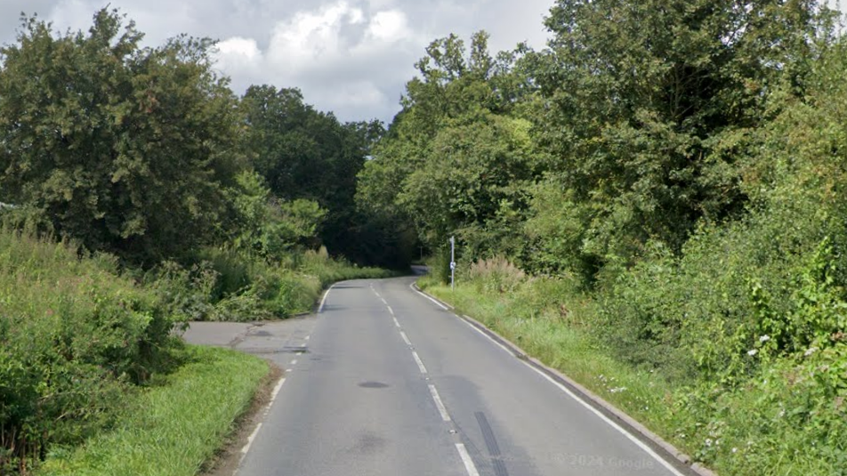A Google Street image of a road with dense green foliage either side.