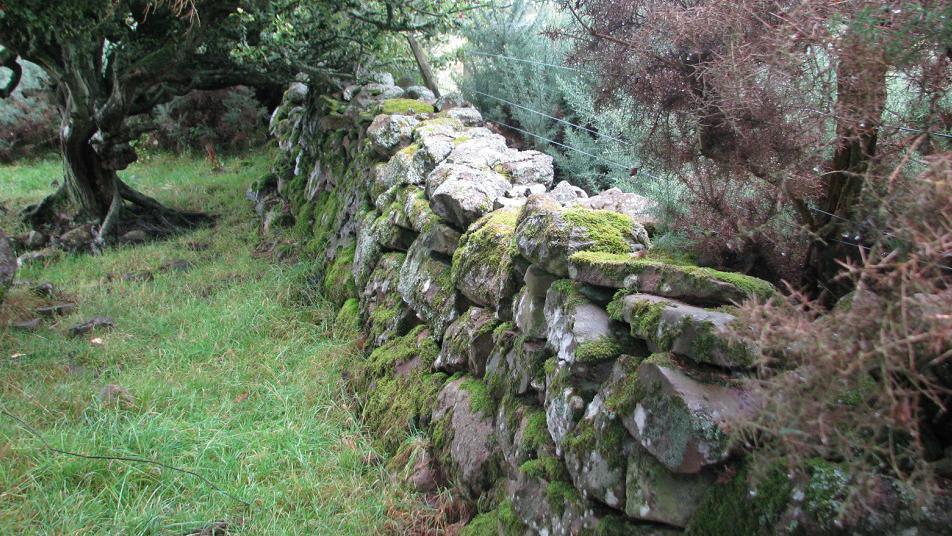 Culloden Parks boundary wall