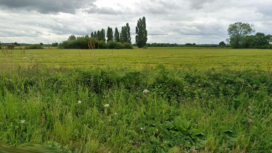 Image shows fields with large trees in the distance, hedgerows and plants