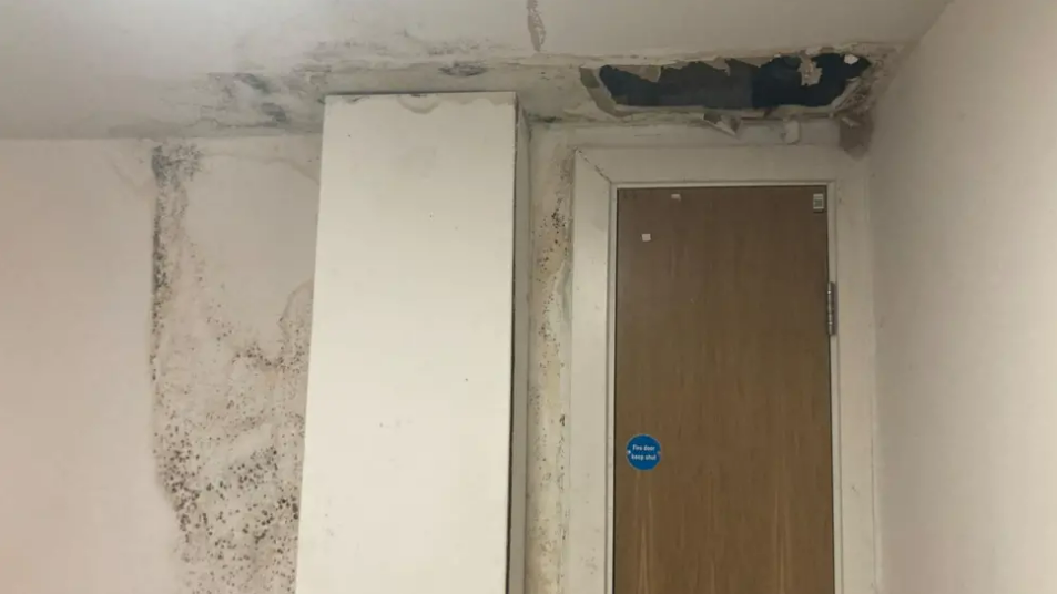 The image shows damp and mould on the walls of a corridor, with a hole in the space above a riser door.