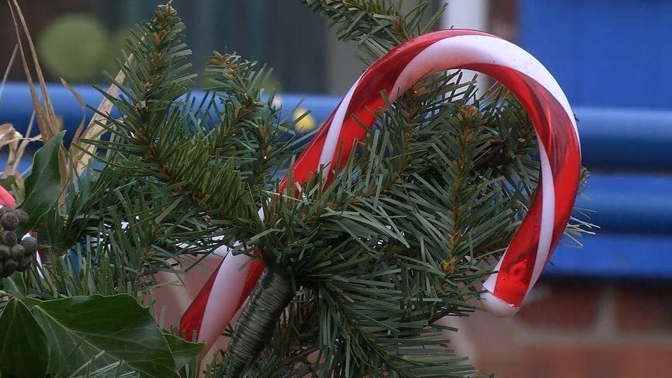 A red and white candy cane hung on a Christmas tree.