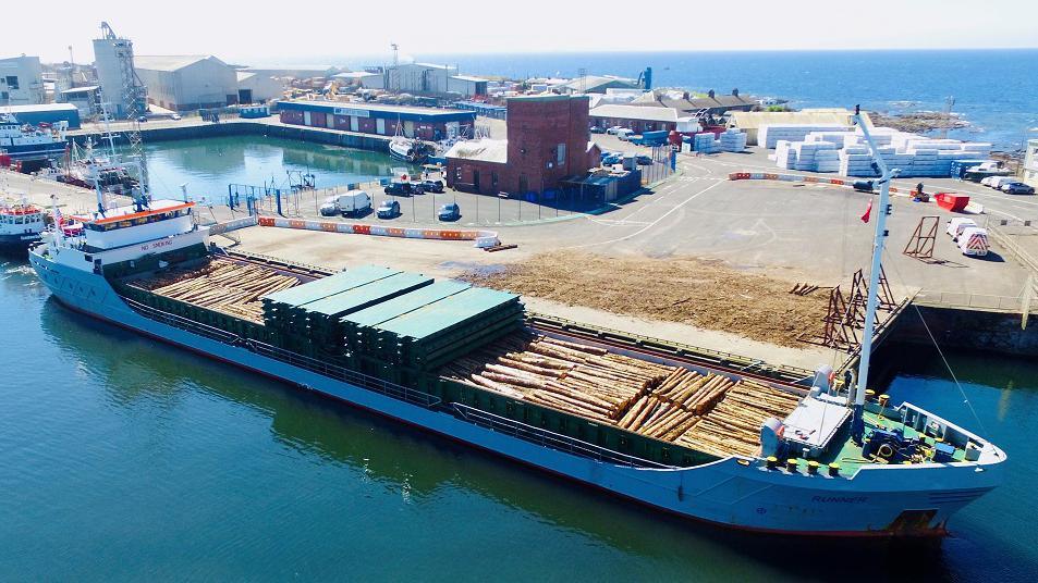 Timber ship