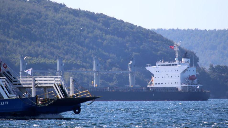 Ships pass through the Dardanelles Strait near the Turkish city of Canakkale. Photo: August 2022