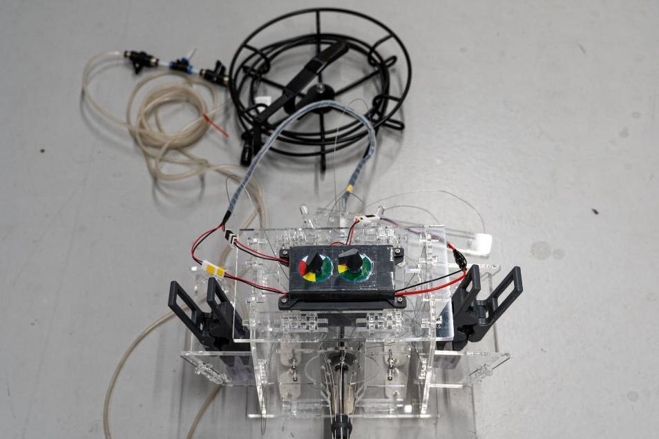 Controls for a snake robot, including cables and dials