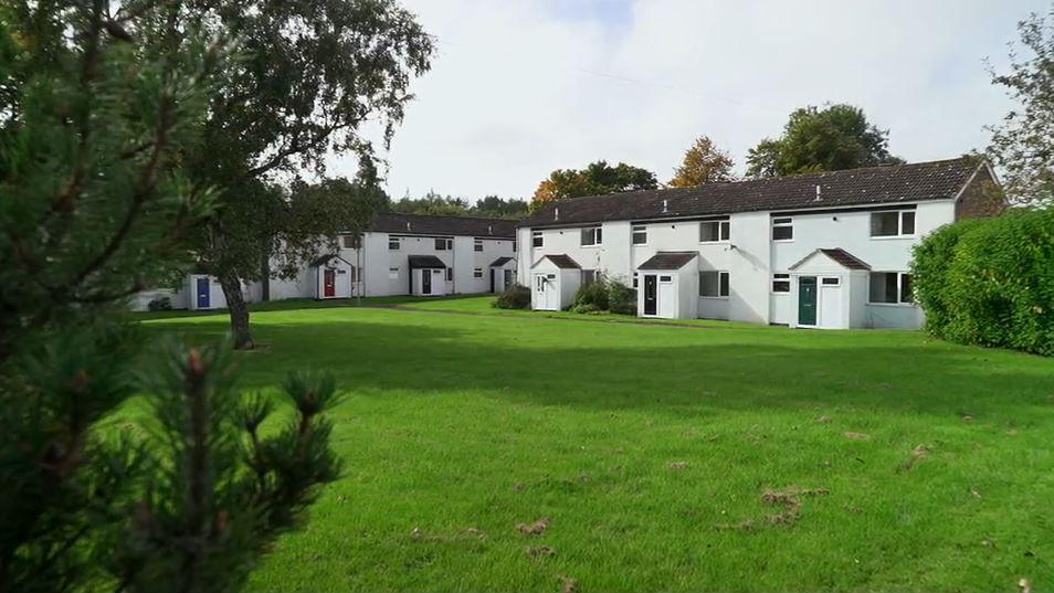 Two rows of houses in Catterick Garrison, all painted in light paint. There's a large area of grass in front of the homes, with a couple of trees and a hedge.