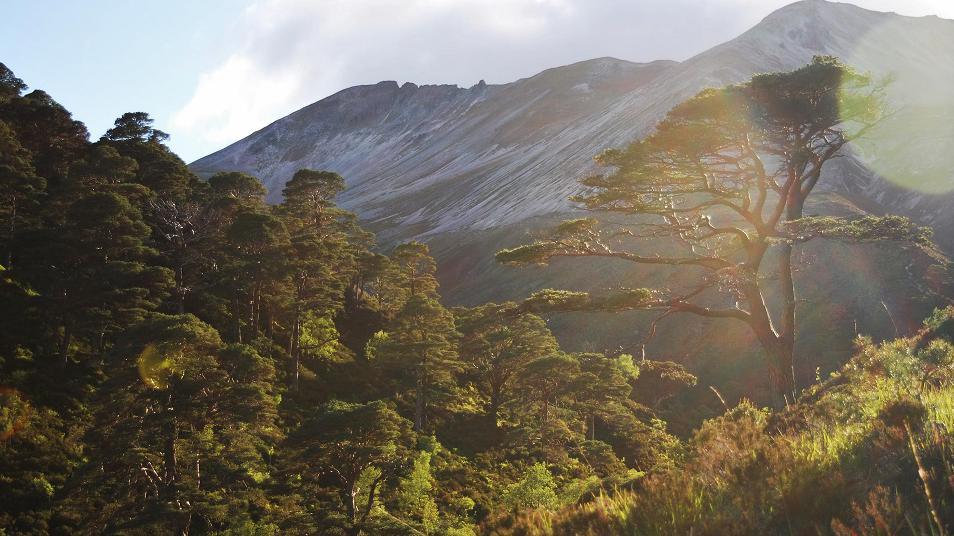 Beinn Eighe