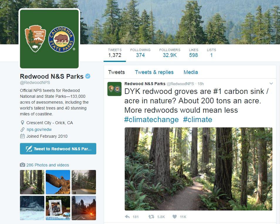 A screenshot of Redwood National Parks which shares a picture and says: "Did you know redwood groves are number one carbon sink/acre in nature? About 200 tons an acre. More redwoods would mean less #climatechange #climate"