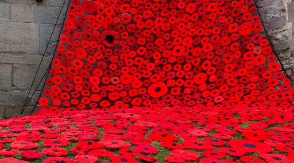 Hundreds of red knitted poppies hang on the side of a grey brick building. Some poppies are also covering the grass.