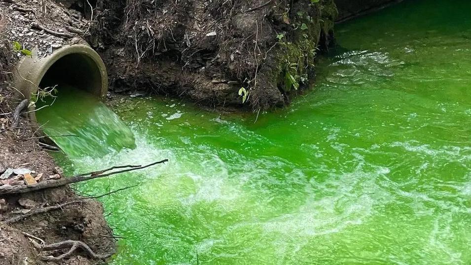 A pipe going into a river, the water in the river is fluorescent green.