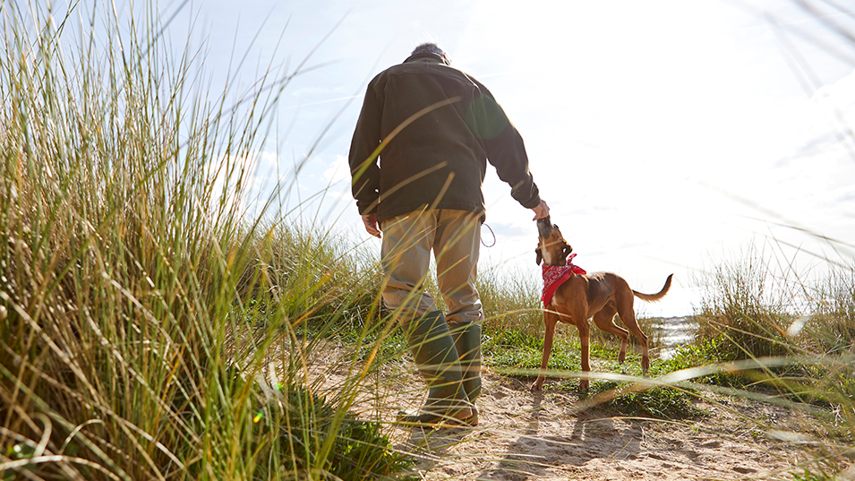 A man with a sandy-coloured dog who also wears a red handkerchief round his neck. The man has wellington boots and is walking with the dog on a sandy cliff top.