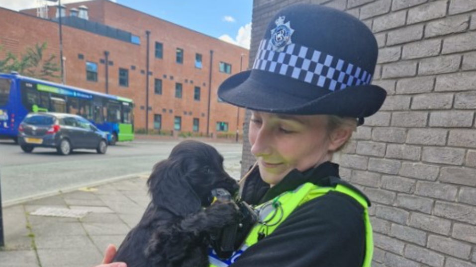 Police officer holding a black Cocker Spaniel puppy