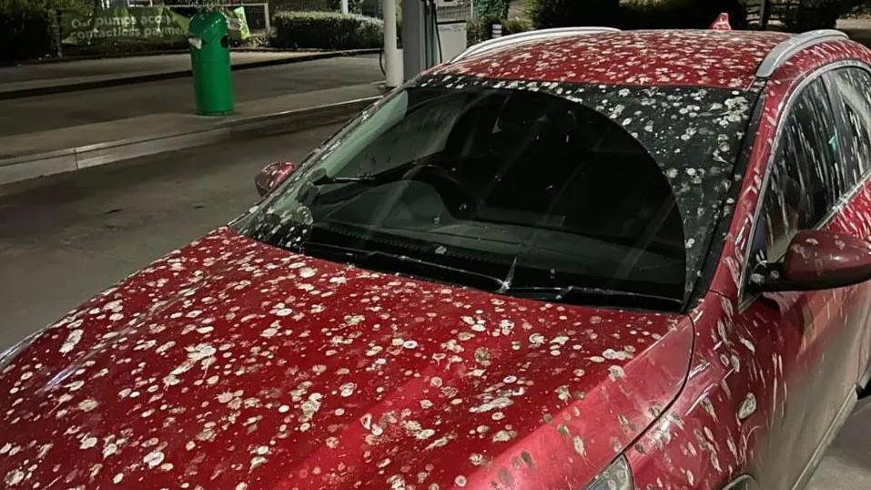 A red car can be seen covered in bird droppings. There is only a space where the windscreen has been cleaned that is free from bird mess. 