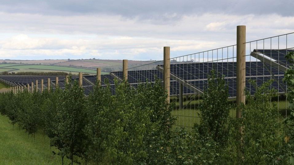 A computer-generated image of what the solar farm might look like. Rows of solar panels are on a grassy hill behind a wire fence lined with shrubbery, with rolling hills in the distance.