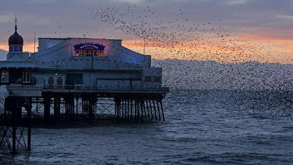 A flock of birds flying around the Joe Longthorne Pavilion Theatre on Blackpool's North Pier as the sun sets