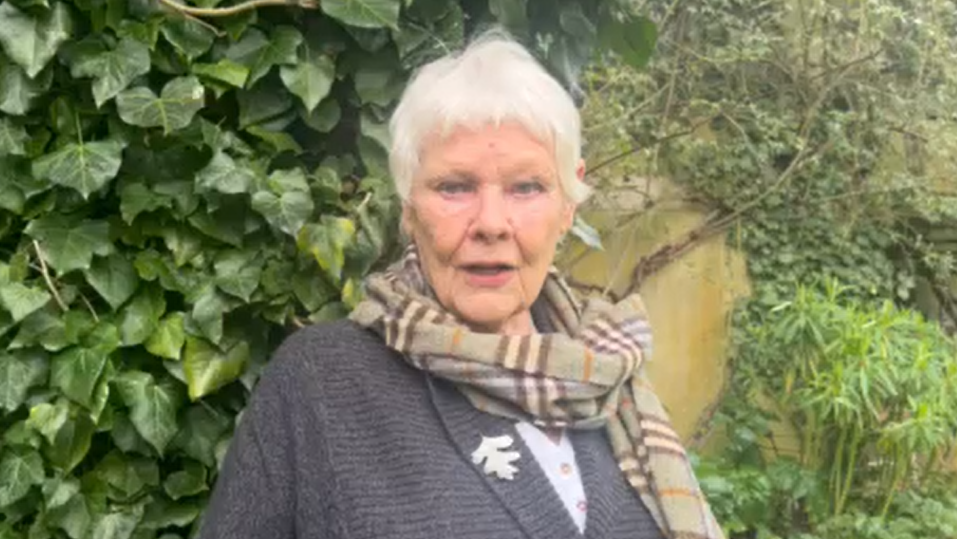 Dame Judi Dench