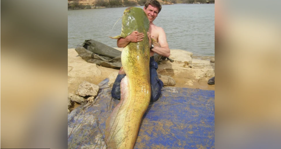 Simon Bartlam, kneeling topless on the side of water, holding a huge green fish which he has caught.
