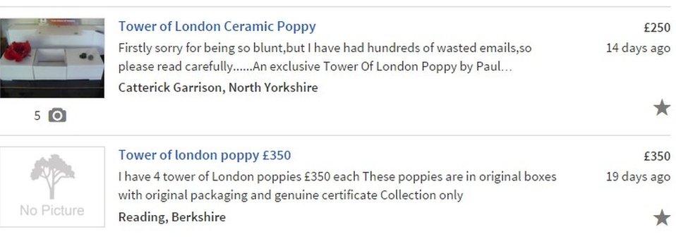 Screengrab of poppies advertised on Gumtree