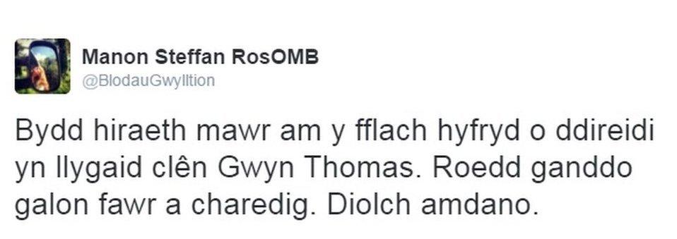 steffan ros