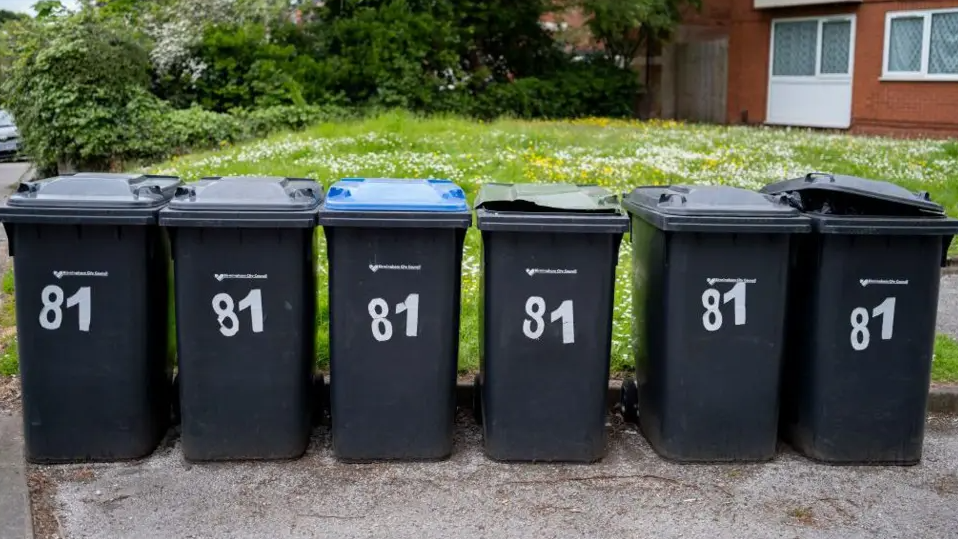 A row of black bins with the number 81 on them are positioned outside a property and its front lawn.