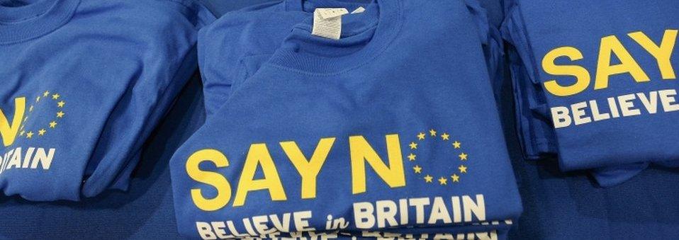 'Say No' to the EU party merchandise at UKIP conference