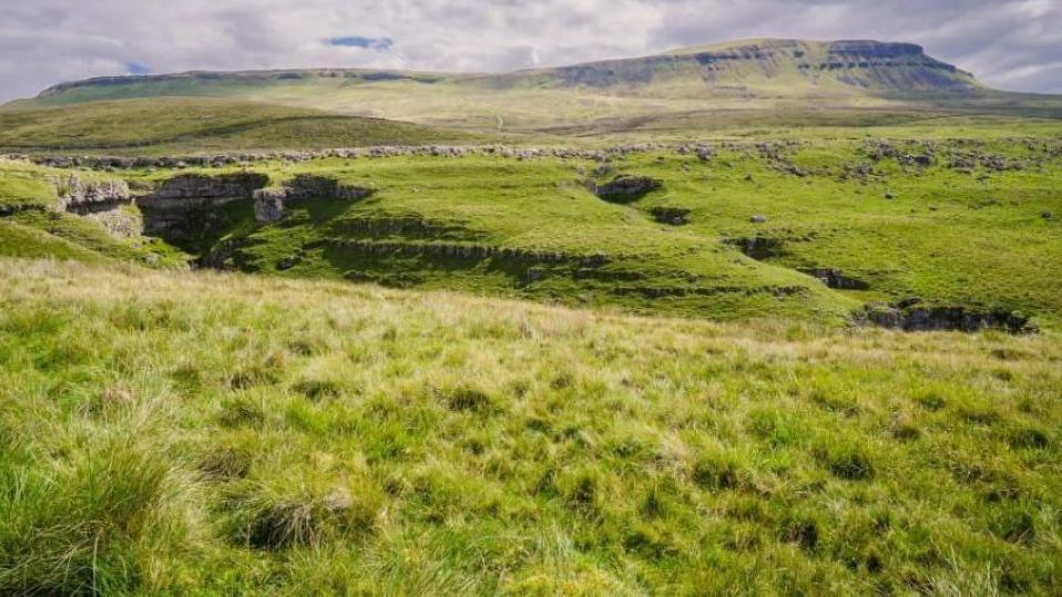 Whernside