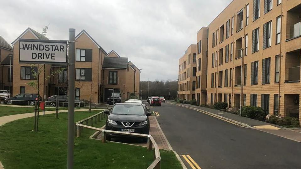 Road with houses and three and five-storey flats surrounding it. There is a grassed area in front of the properties with a footpath winding through it, with young trees and a low wooden fence next to the road in the foreground