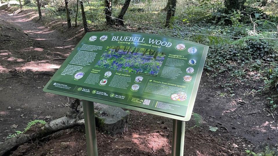A green information board. It says "Bluebell Wood" on it. The ground underneath it is brown. There are leaves and trees in the background. 