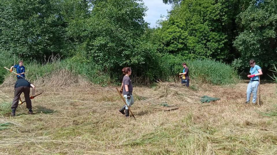 Four male youngsters, supervised by a woman, hold gardening equipment as they cut back long grass in a sunny field.