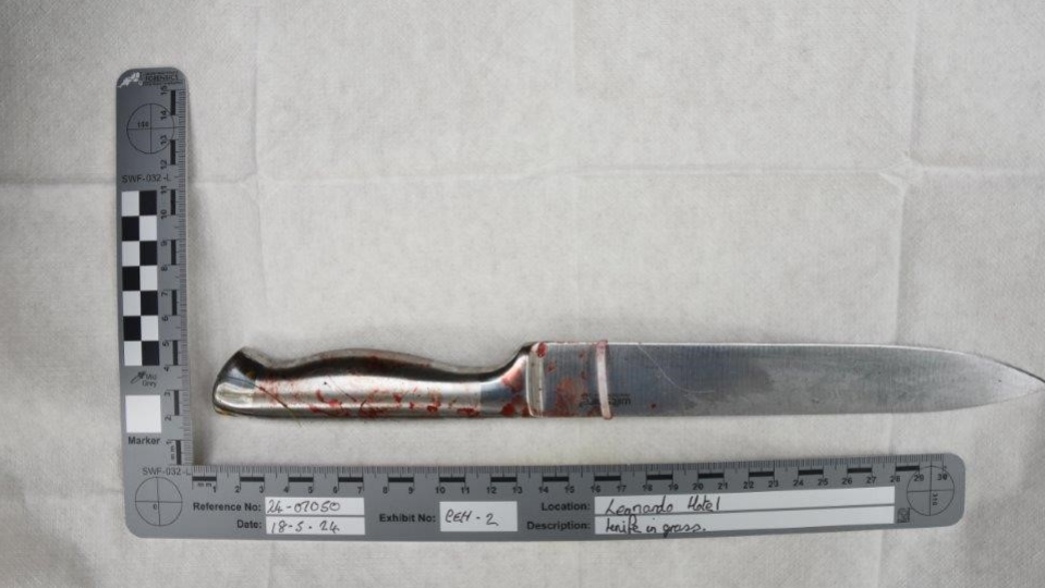 A crime scene photo of the knife with blood on its handle and a ruler around it