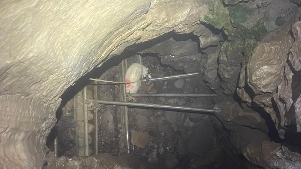 A sheep far down a cave system, surrounded by rocks and scaffolding poles.