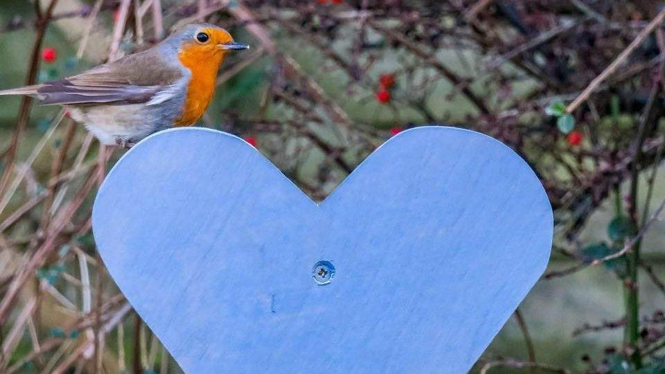 Robin on a blue heart