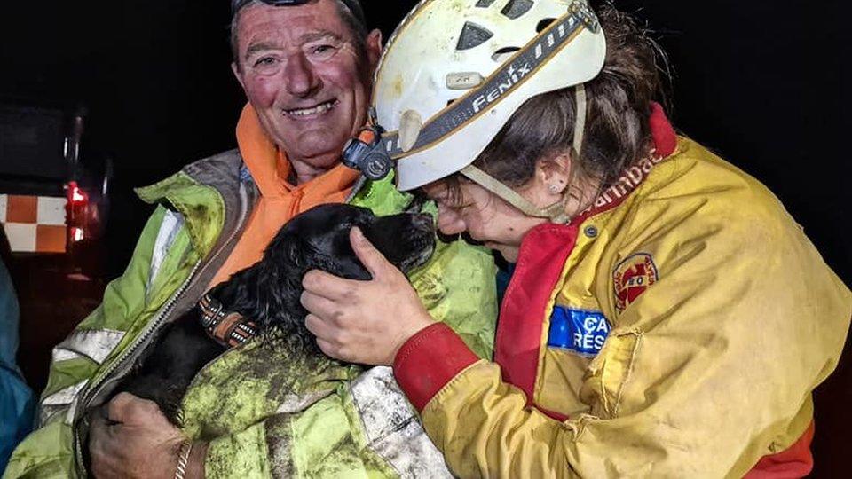 Rescuers with Jess the dog