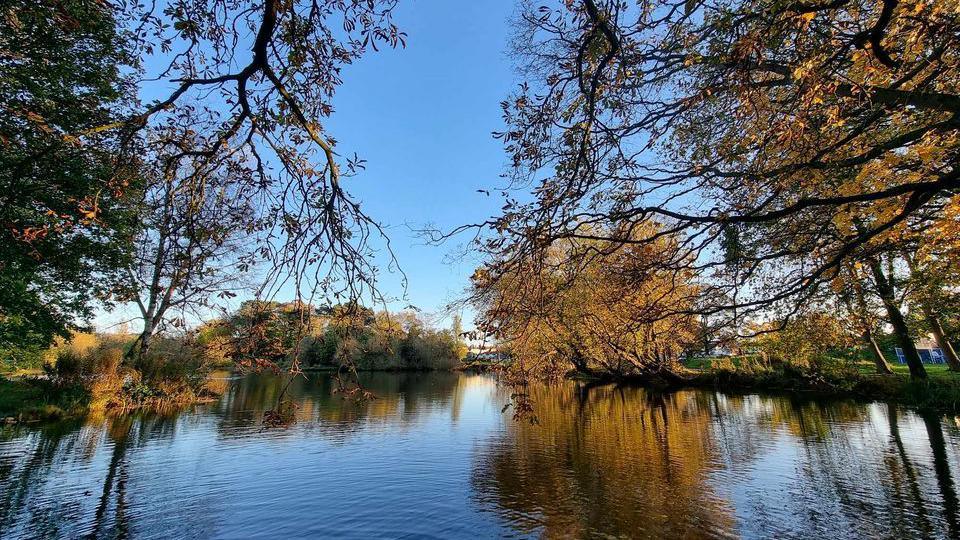 Lake with the reflections of the trees and a blue sky in the background.