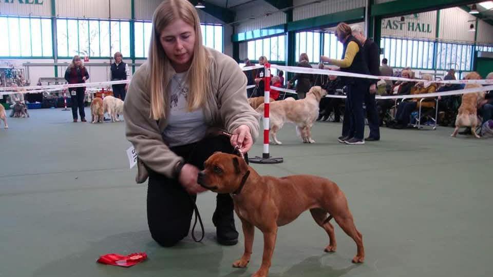 Jennie Logan with her dog Mouse at a dog show. She is putting a harness around Mouse's neck. She is kneeling down, facing the camera. Other people and their dogs can be seen in the background.