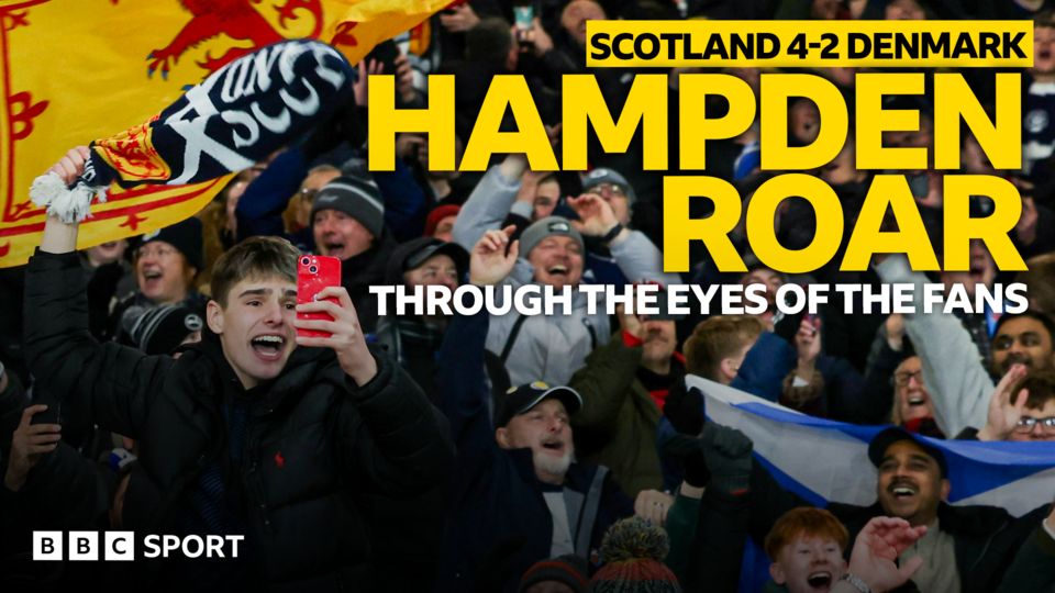 Scotland fan