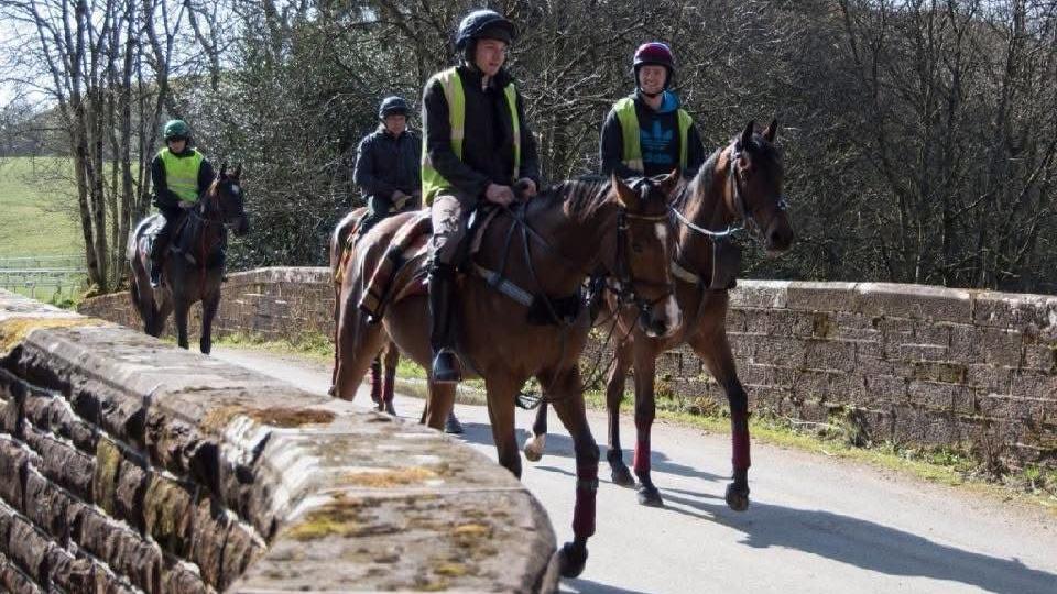 Four people riding horses across and old stone bridge in the sunshine