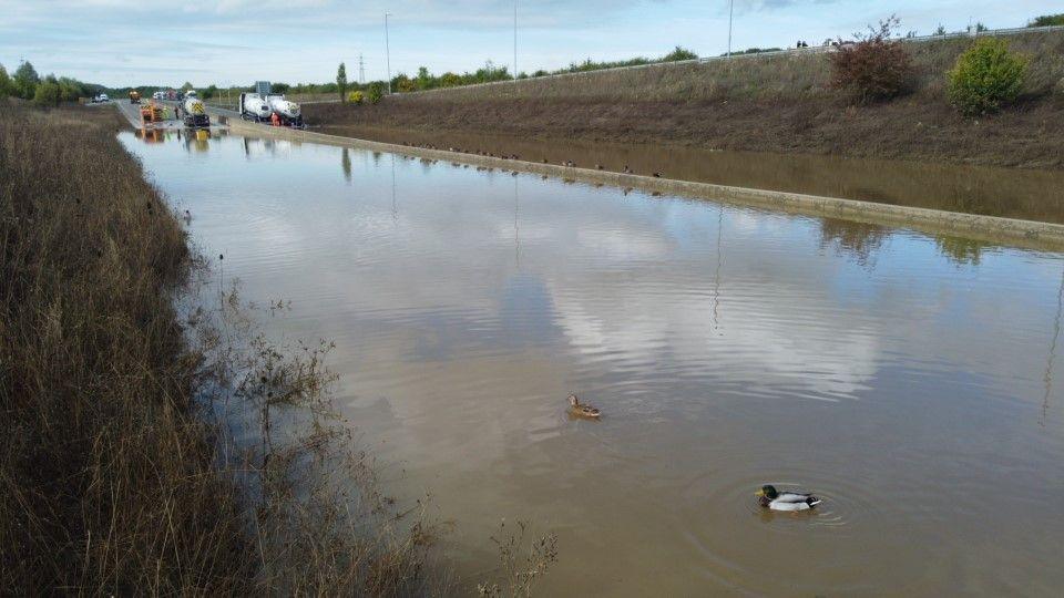 The A421 in Bedfordshire showing a flooded road with ducks swimming on it.