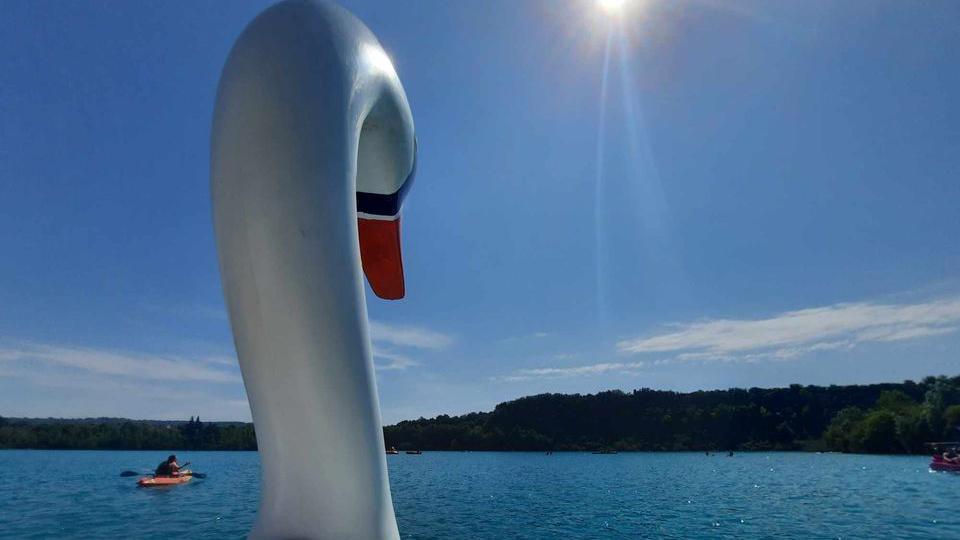 A fake swan model on a lake. someone in a canoe.